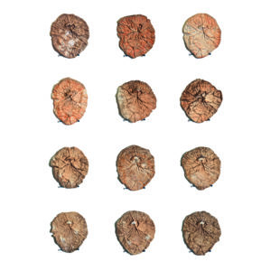 Benedikt Hipp - Ceramic Fencepost Imprints £250. The first ever Hipp multiple, makes a great impression, literally....